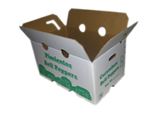 caja_carton06