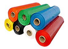rollo01